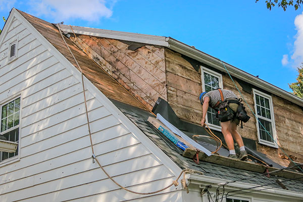 Trusted Roof Repair Restoration Services